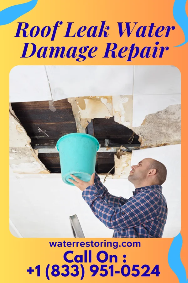 Roof Leak Water Damage Repair in Lake Lafayette, MO